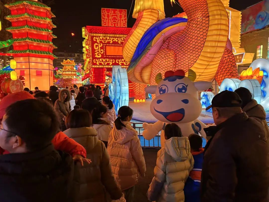 央視直播鄭州龍年燈會(huì)迎新春，花花牛品牌上大分