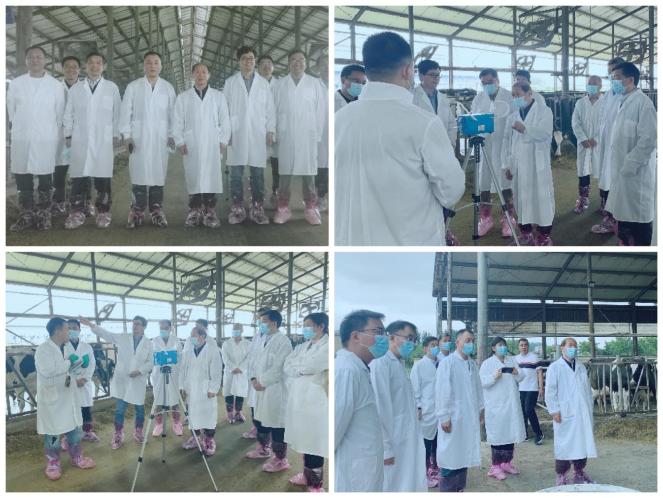 花花牛丨河南農(nóng)業(yè)大學(xué)黨委副書(shū)記、校長(zhǎng)介曉磊一行蒞臨花花牛河南瑞亞參觀調(diào)研