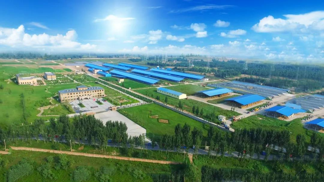 花花牛丨河南農(nóng)業(yè)大學(xué)黨委副書(shū)記、校長(zhǎng)介曉磊一行蒞臨花花牛河南瑞亞參觀調(diào)研