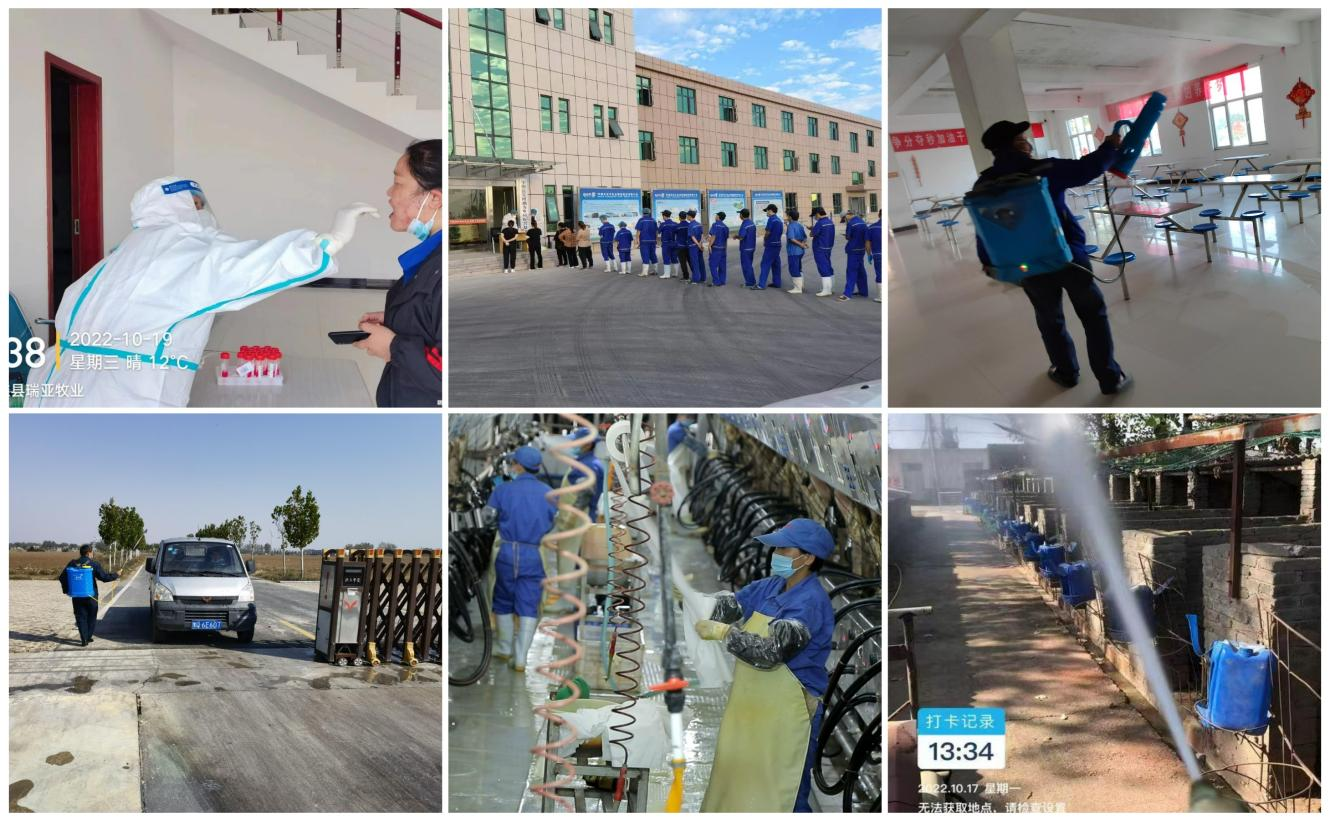 抗疫情、保供應、顯擔當——花花牛在行動?。?！