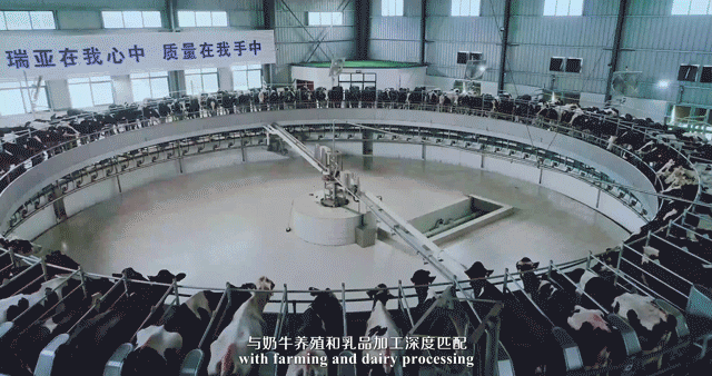 快訊 | 湖北省農業(yè)廳副廳長王海濤等領導一行蒞臨河南花花牛乳業(yè)集團參觀調研