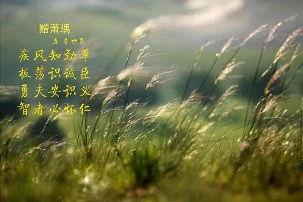 花花牛 | 疾風(fēng)來臨,你是不是勁草? 花花牛 | 疾風(fēng)來臨,你是不是勁草?