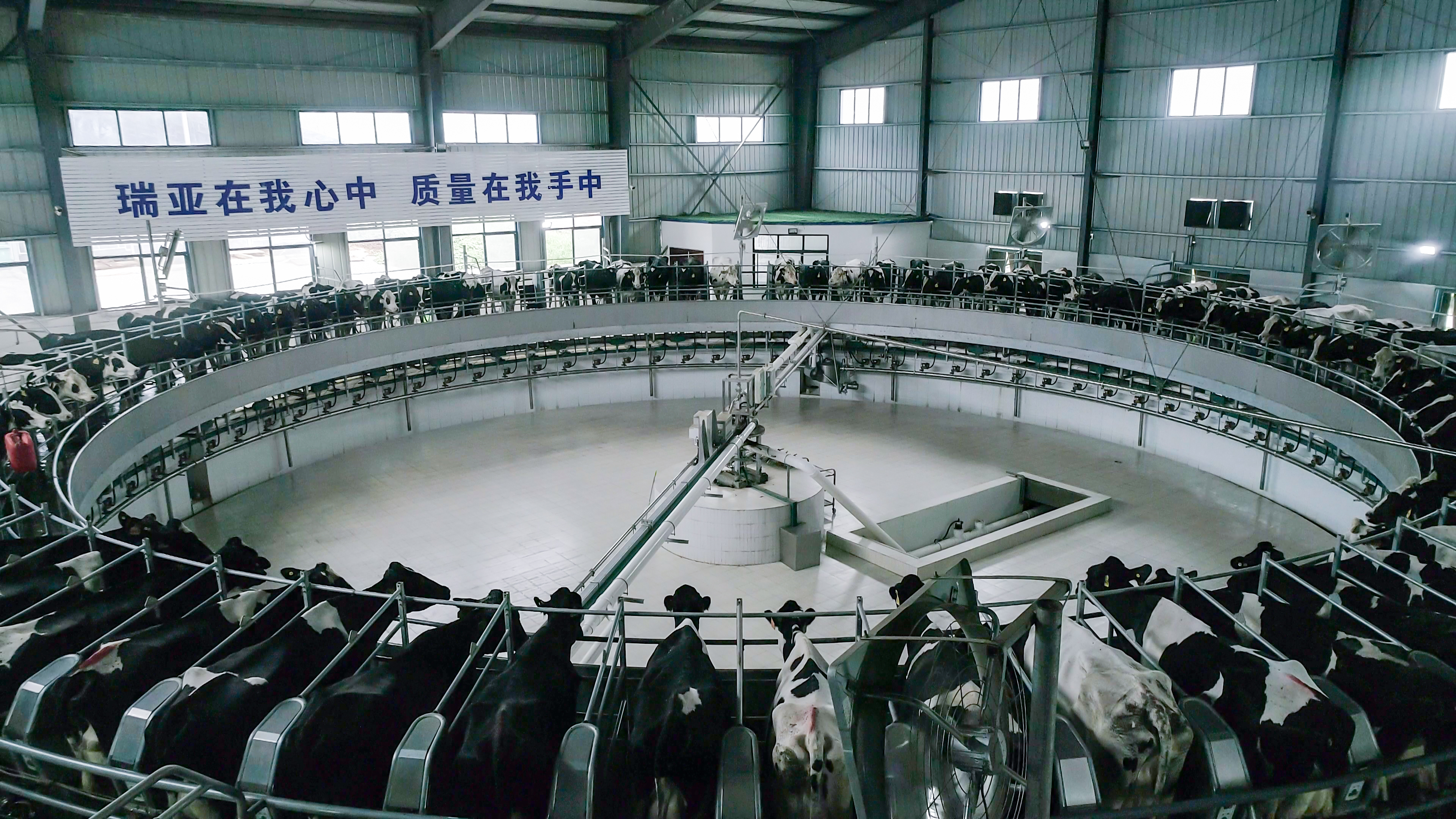 河南省委常委、組織部部長孔昌生 蒞臨河南花花牛集團魯山瑞亞牧業(yè)有限公司調研