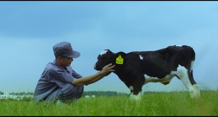 又雙叒叕獲獎(jiǎng)啦！花花牛榮獲“乳品質(zhì)量安全管理 優(yōu)秀企業(yè)”