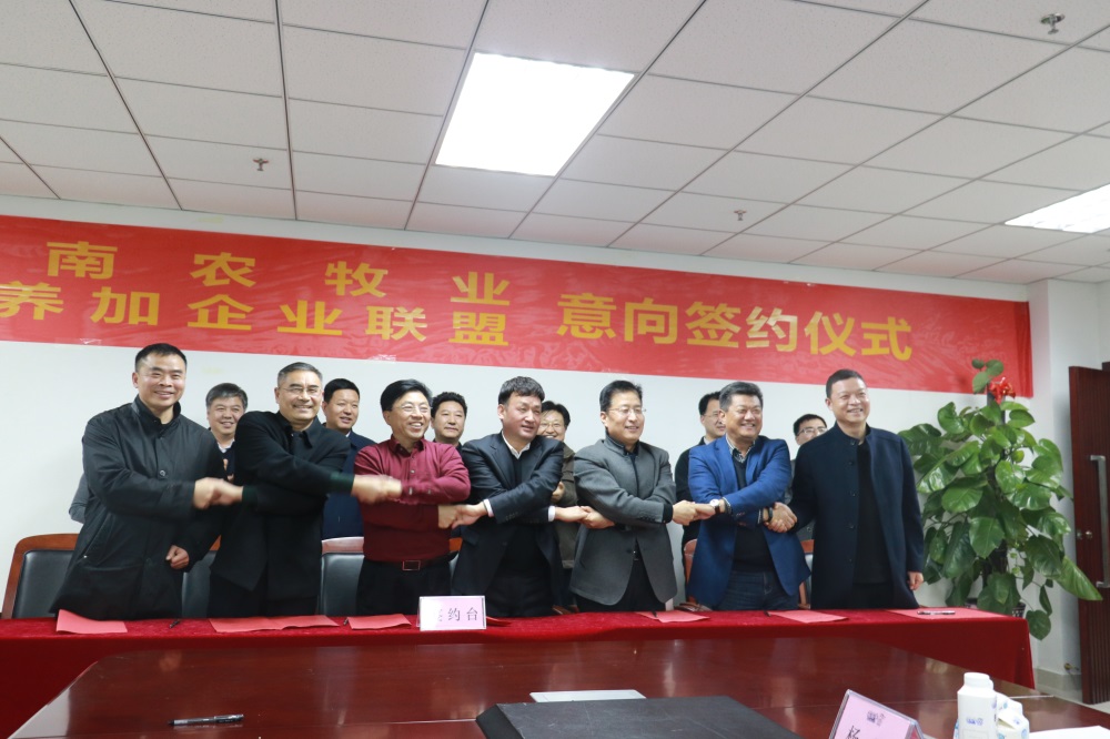 涉農(nóng)企業(yè)強(qiáng)強(qiáng)聯(lián)合，“抱團(tuán)取暖”共迎企業(yè)發(fā)展的春天