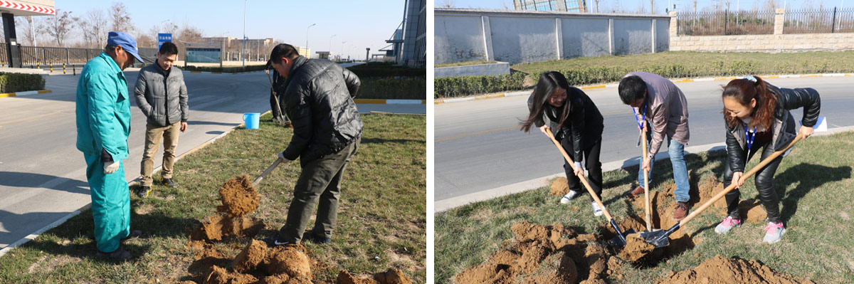 2016年植樹節(jié)活動